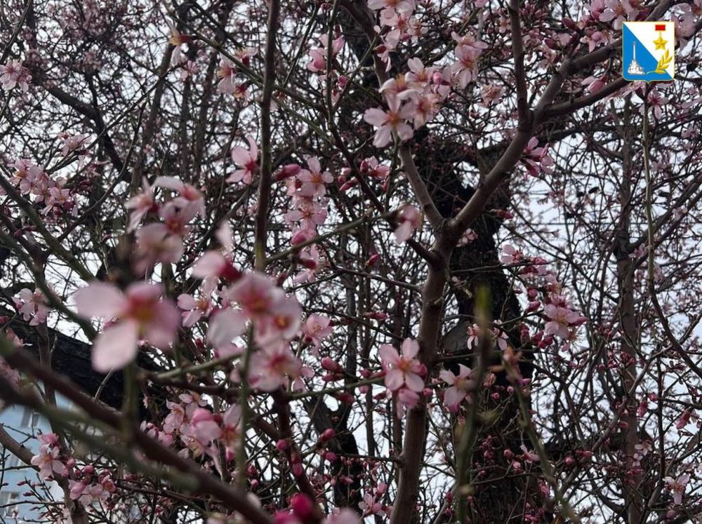 ������ ����, �����������!. � ������� ������ ��������� ������ �������� � ������ ������, � ����� ��������� ������ ���������� �������