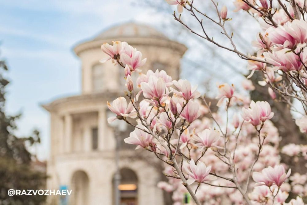 � ����������� �������-�� ������ ��������� �����