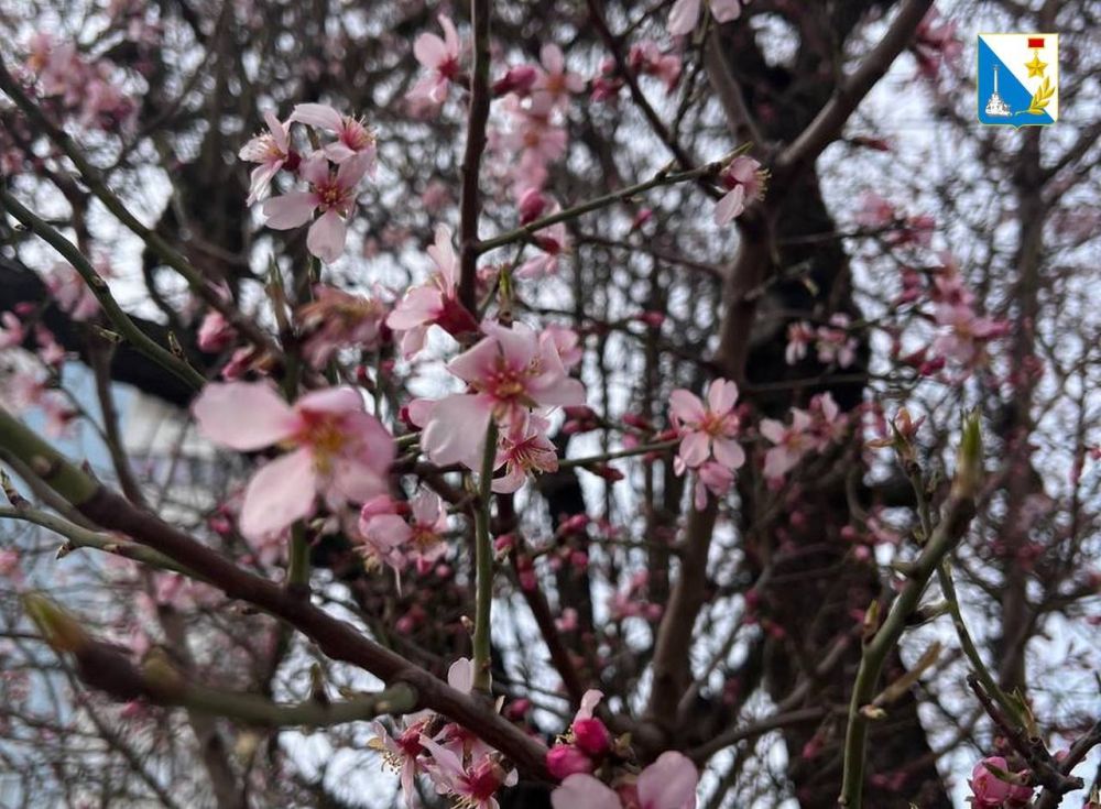 ������ ����, �����������!. � ������� ������ ��������� ������ �������� � ������ ������, � ����� ��������� ������ ���������� �������