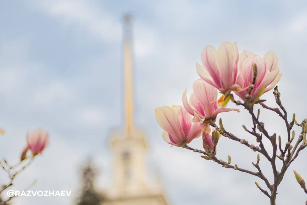 � ����������� �������-�� ������ ��������� �����