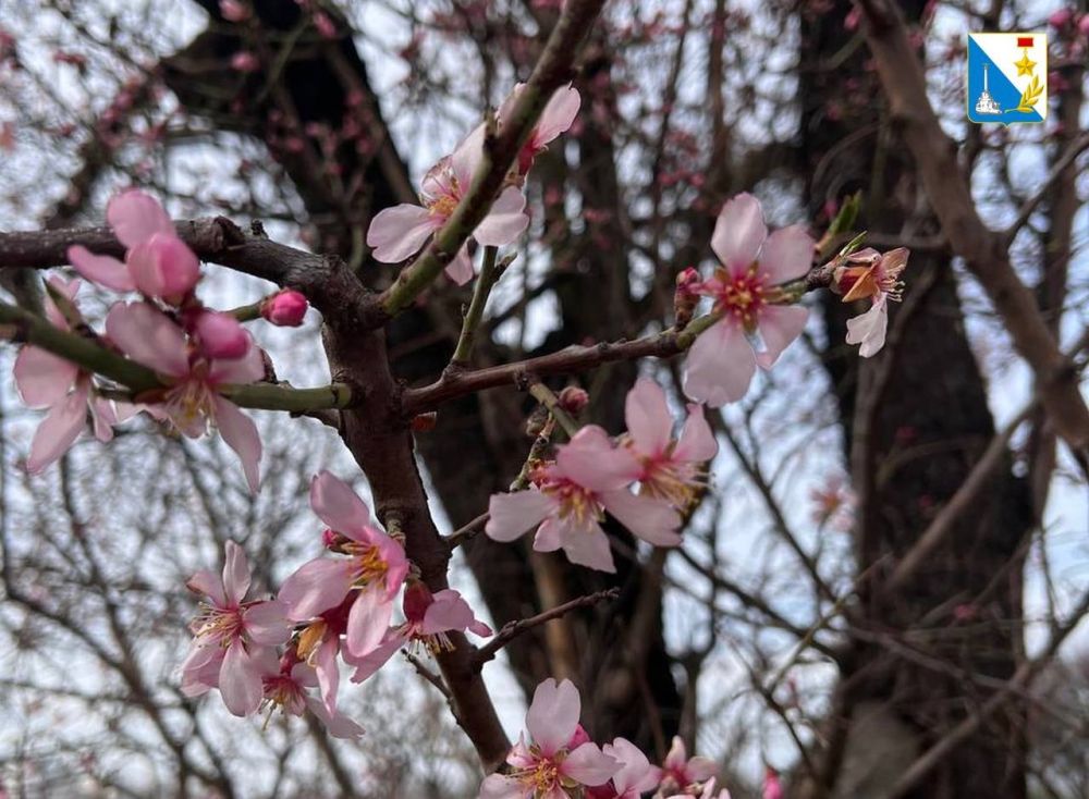 ������ ����, �����������!. � ������� ������ ��������� ������ �������� � ������ ������, � ����� ��������� ������ ���������� �������