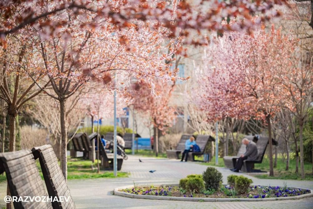 � ����������� �������-�� ������ ��������� �����