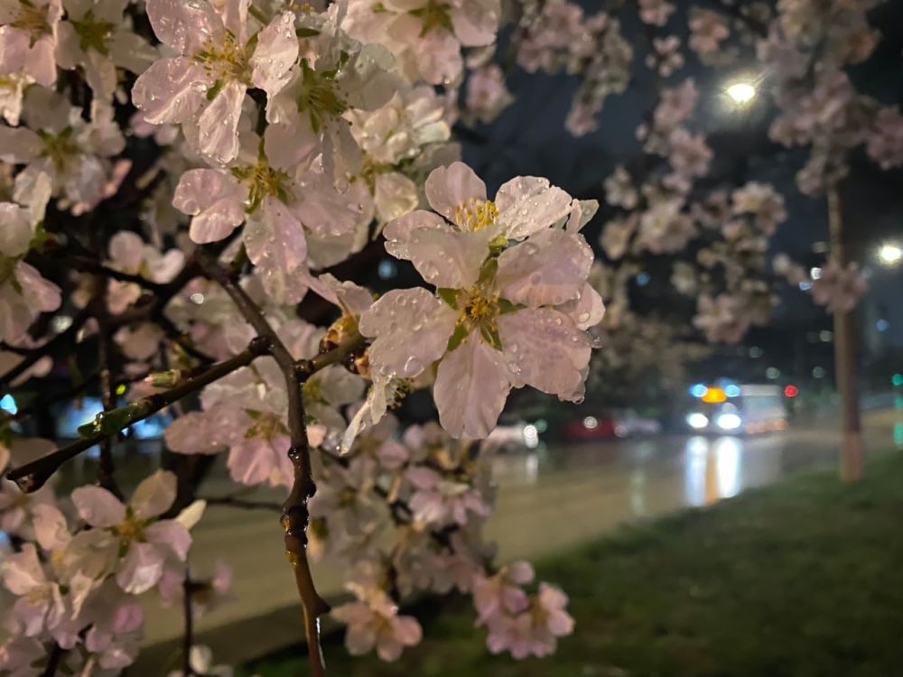 ������� ������ � ����� �� 30 �����