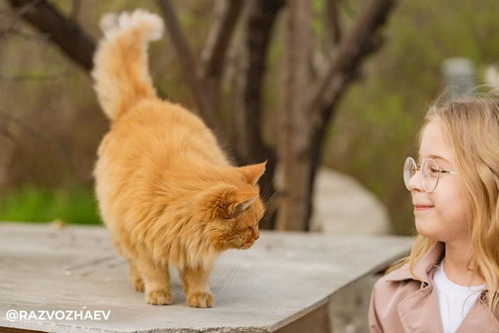 � ����������� �������-�� ������ ��������� �����