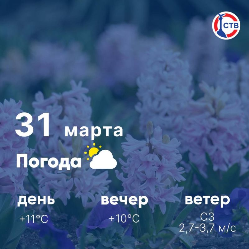 ������ ����, �������������! �������, 31 �����, � ����� ������ �������