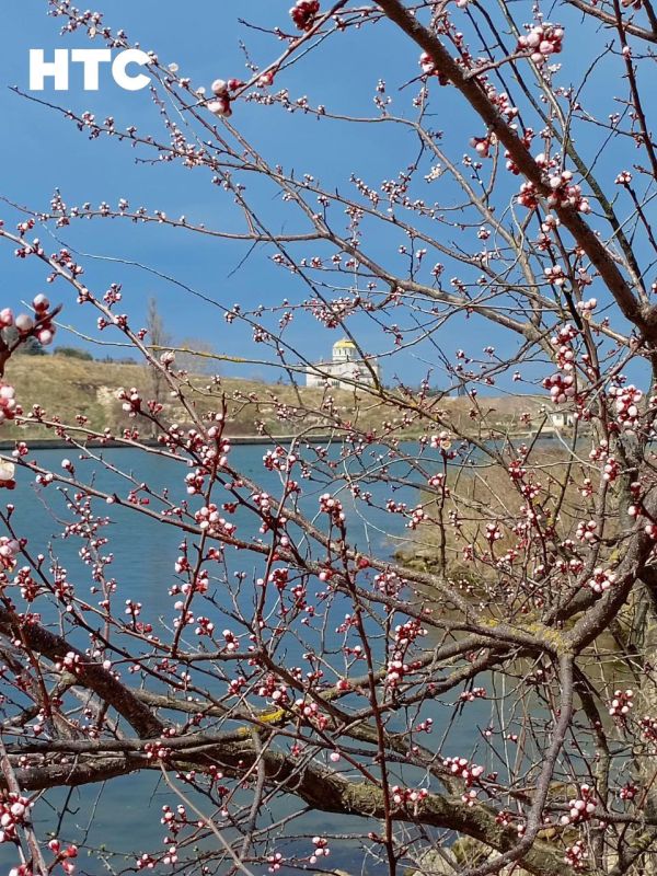 ����� �������� ���� � � �������, � �������, � ����������