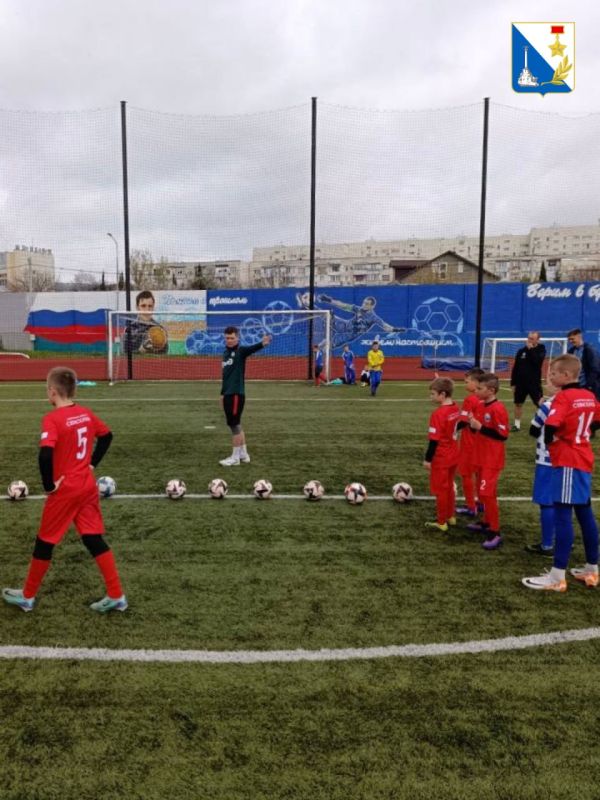 ���������� ���������� ������� ������-����� ��� ��������������� �����