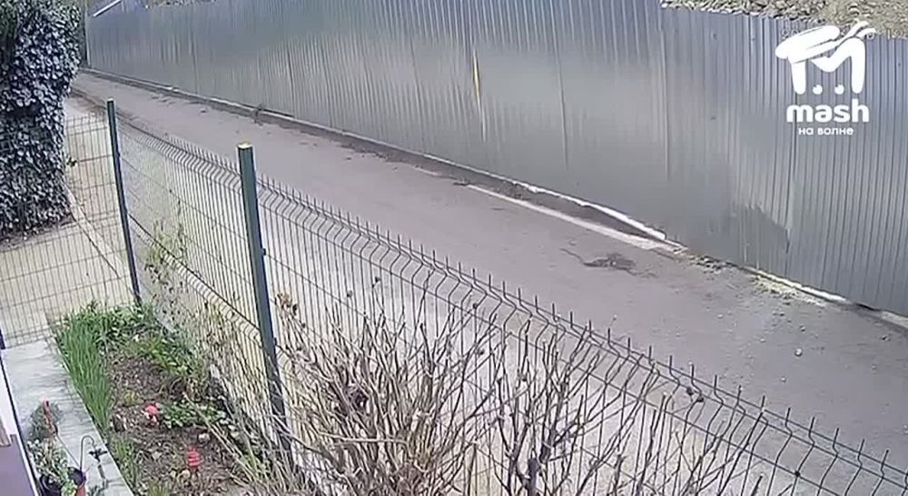 ������, � �������?. ��� ����� ����� ������� �������� ������� ���������������� ��������� ������