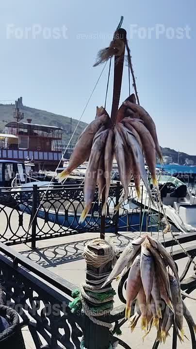 Балаклава и дары Чёрного моря