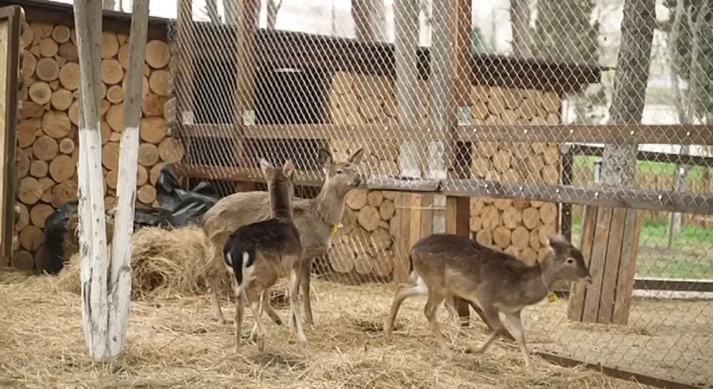 � ����� ��������� ������� ��������� �������