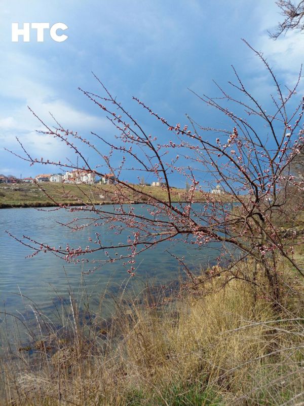 ����� �������� ���� � � �������, � �������, � ����������