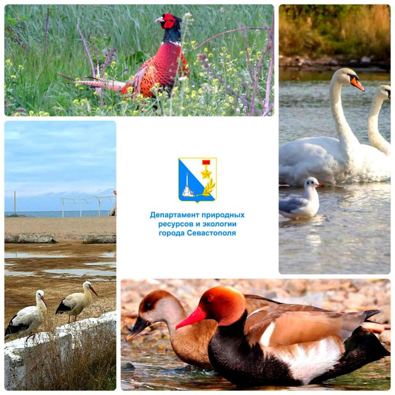 � ����� �������������� ��� ����, ����������� 1 ������, ��������������� ��������� �������� �������� �� �������� ���������� ������� ����� �������� � �� ���������� ������������