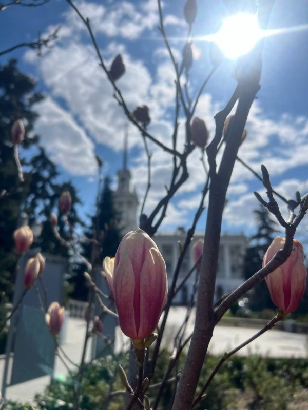 ������ ����, �����������! ������� ��������� ����� ������� �������