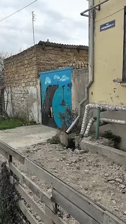 Любовь к Севастополю и котикам в росписи ворот частного дома