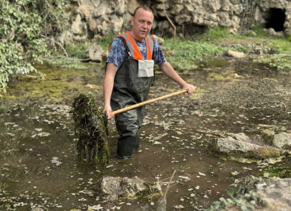 В Севастополе очистили пруды природного парка «Максимова Дача»