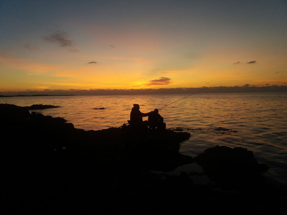 Севастополь сдал позиции в экологическом рейтинге регионов