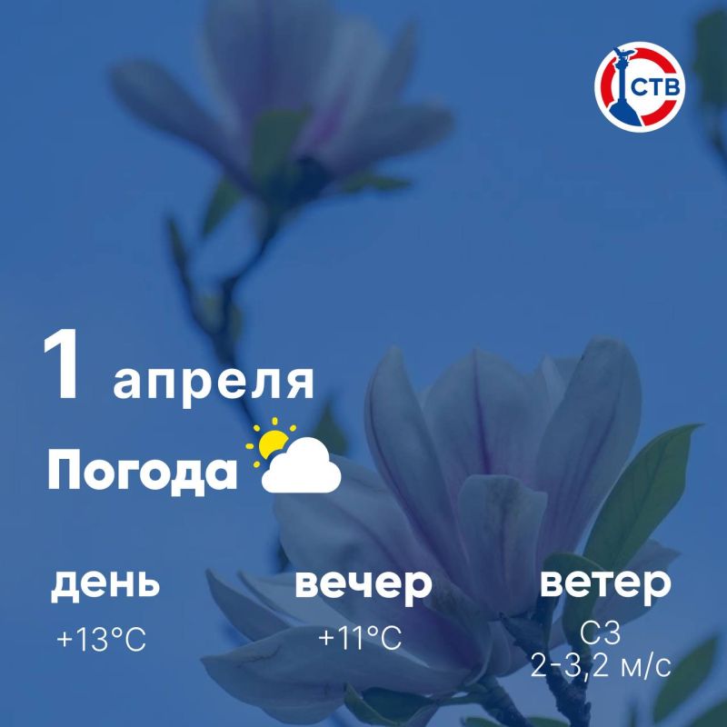 ������ ����, �������������! �������, 1 ������, � ����� ������ �������