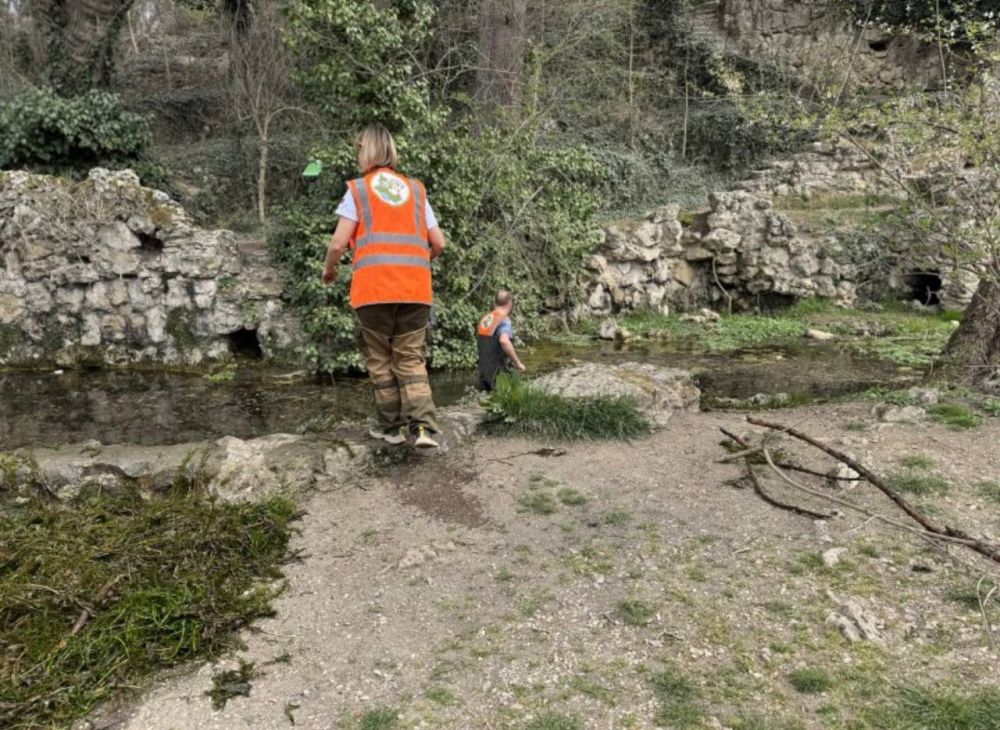 � ����������� �������� ����� ���������� ����� ���������� ����