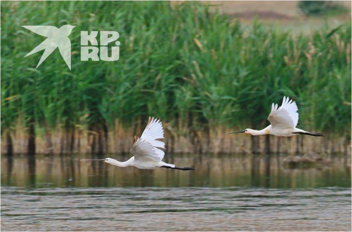 1 ������ �� ���� ���� �������� ���� ����: � ���� ���� ������� ����� ����������� ���� � ������ ����