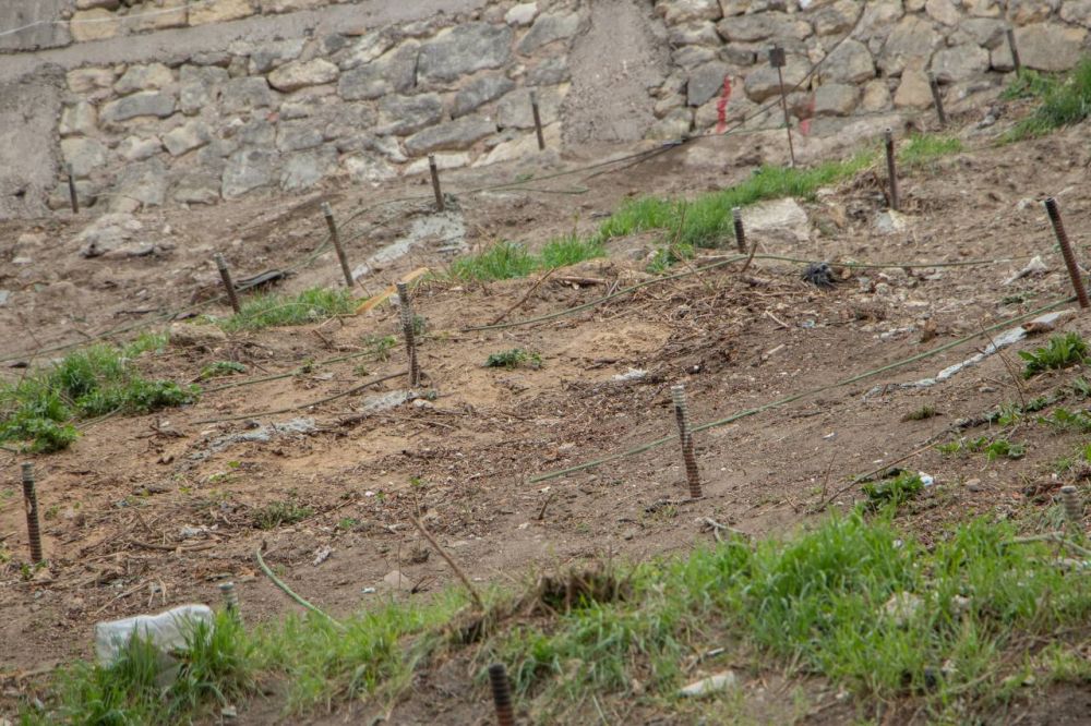 �� ������ ����� ������ ����������� ���������� � ���������� �������� ����