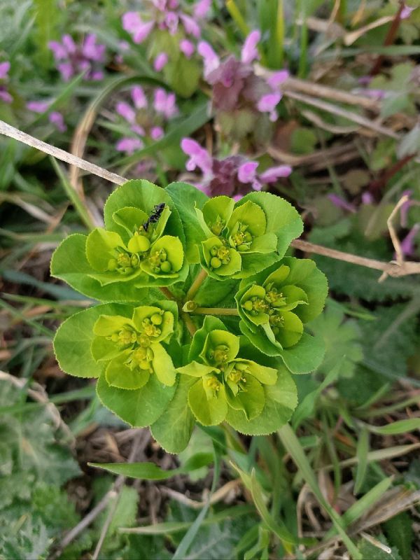 ���� ������� ����. � ����������� ��� �������