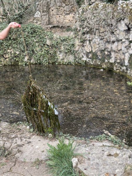 �� ����������� ���� ������� �����