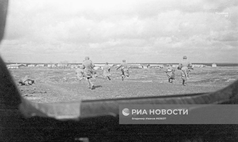 � ����������� ����������� ������� �� ������ ���� ��������� ��������� �������� ���������� ������� ���