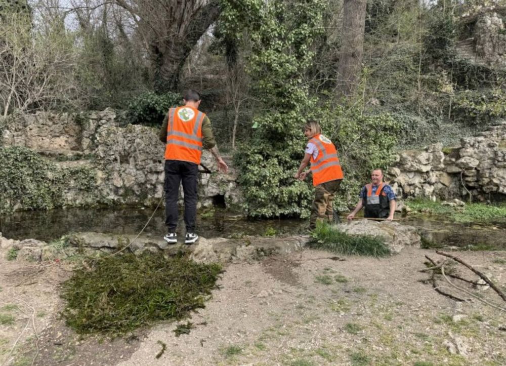 � ����������� �������� ����� ���������� ����� ���������� ����