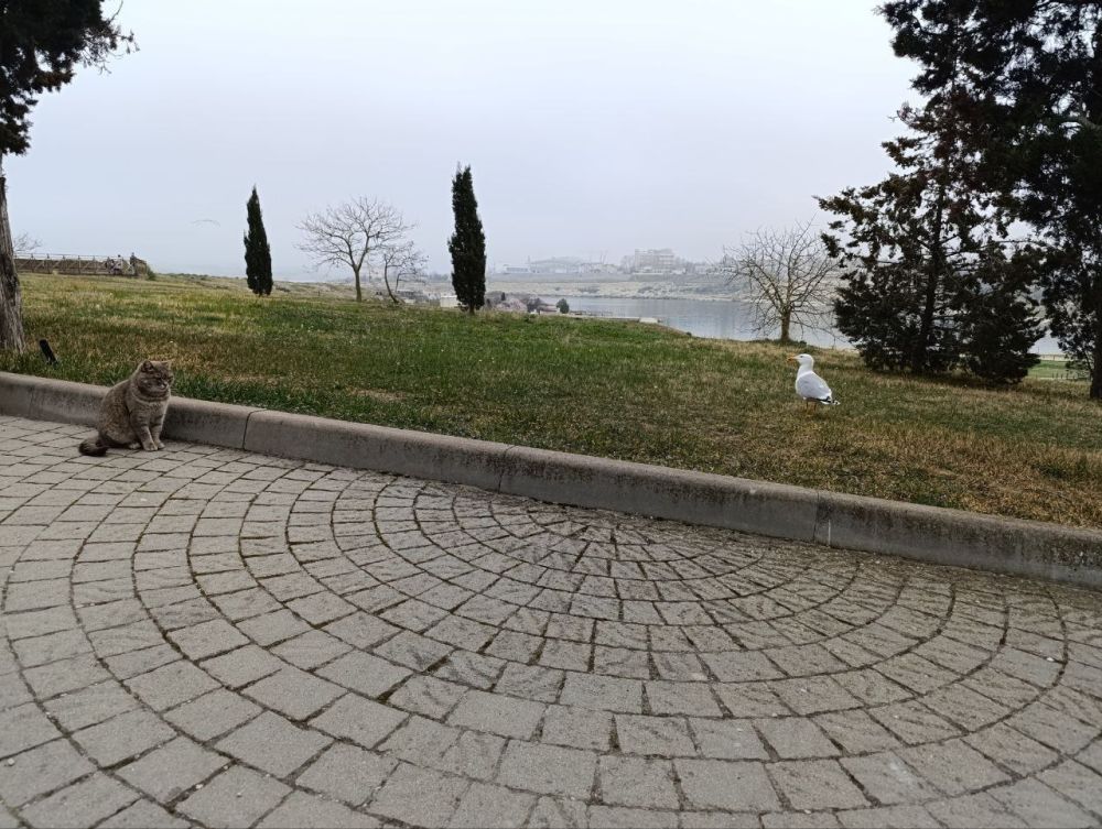 Доброе утро, Севастополь. Тем, кто не успел накануне насладиться туманом, переживать не стоит