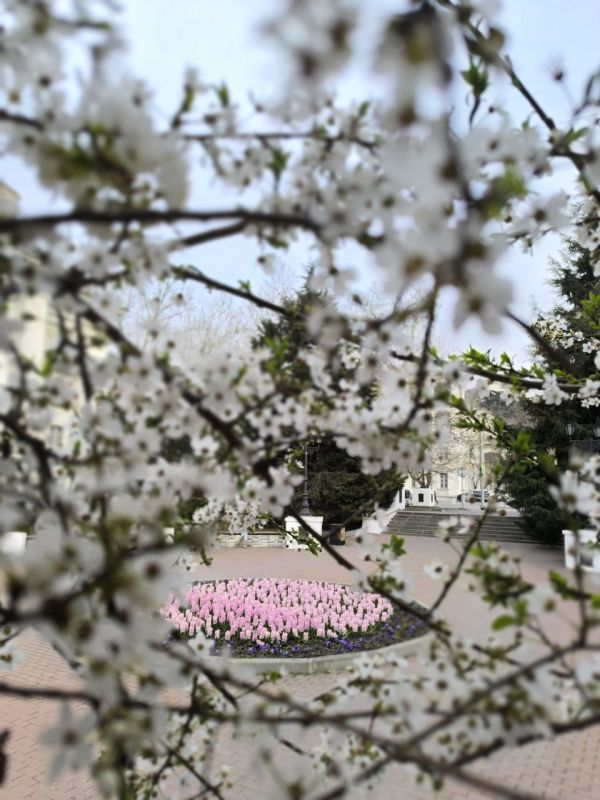Доброго утра, друзья!. В Севастополе утром, днем небольшой дождь