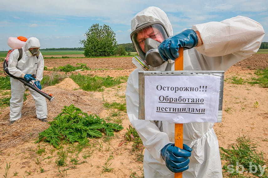 Рекомендации по безопасности на период обработки полей пестицидами