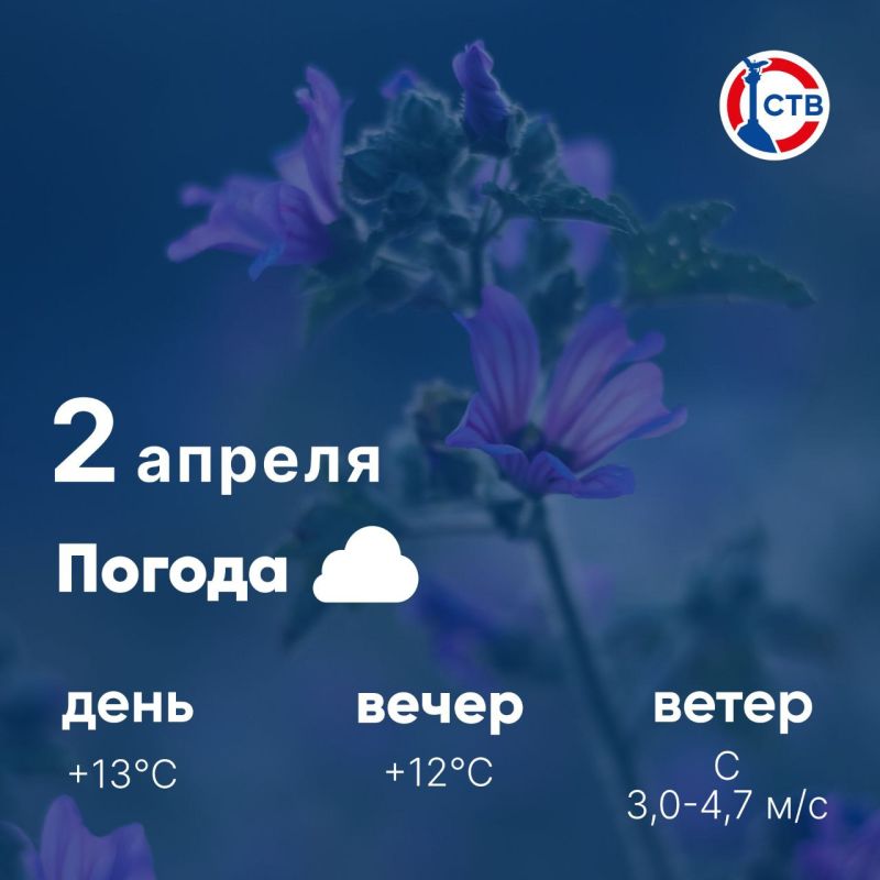Доброе утро, севастопольцы! Сегодня, 2 апреля, в городе облачно
