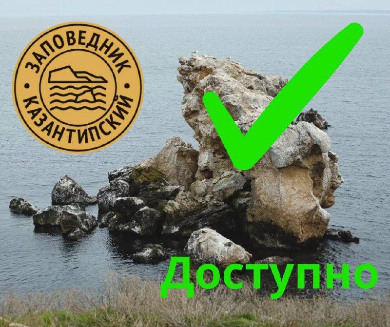 "����� ������" ��������: ��������������� ��������� ���������� ������������� ����� ������ ��� ���������