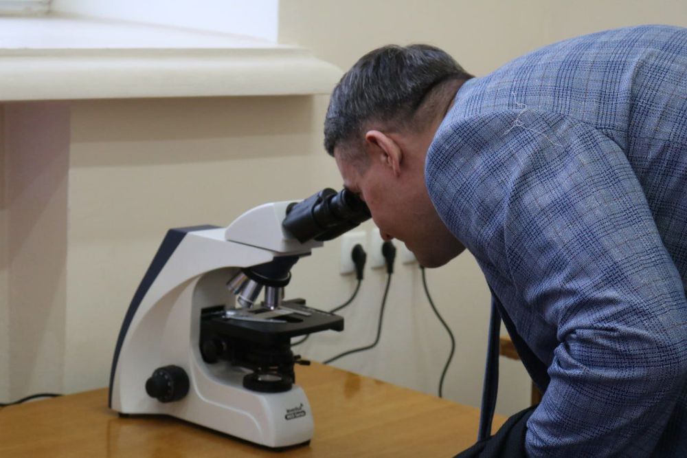 ������� �������: ������� � ���������� ��������� ��������������� �������� � ������������������ ���������������� ���������������� ������������ ������������ �������� ����������� ������� ������� �� ����������