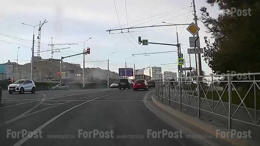 Краснокнижная сосна на перекрёстке ул. Вакуленчука и пр. Октябрьской Революции по-прежнему в зоне риска