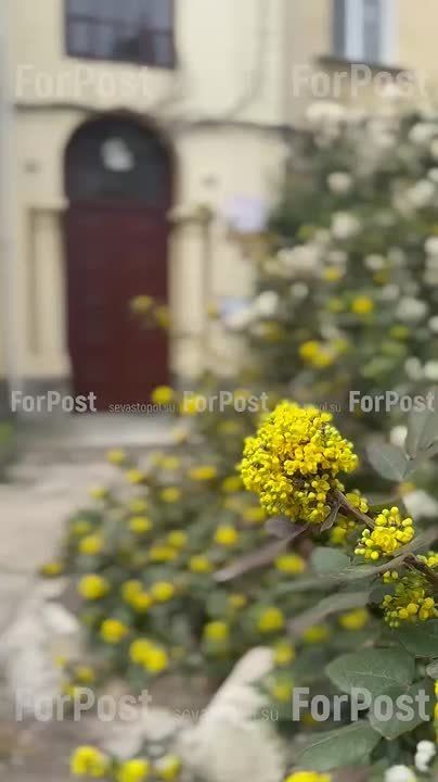 #Нам_пишут. Аутентичные элементы старых домов в Севастополе хочется сохранить в большинстве случаев