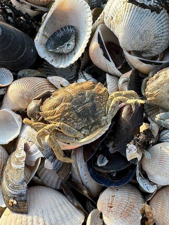 �� �������� ��������� ��������� ���� ��������� ����� ������� ������