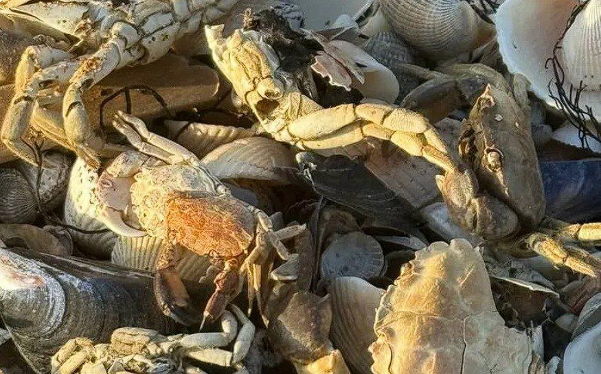 �� �������� ��������� ��������� ���� ��������� ����� ������� ������