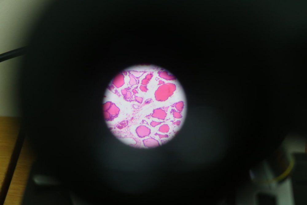 ������� �������: ������� � ���������� ��������� ��������������� �������� � ������������������ ���������������� ���������������� ������������ ������������ �������� ����������� ������� ������� �� ����������