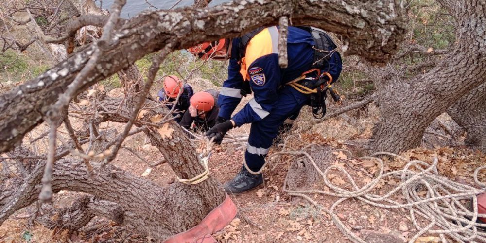 ��������� ����������� ������� ������� �������� �� �������� �������, ����������� �� ����� ������ ���� ��������