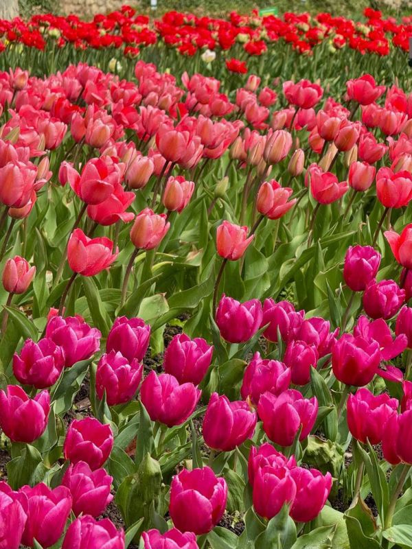 �� ������ ��������� � ��������� ������������ ���� ���������� 110 ����� ������ � 158 ������