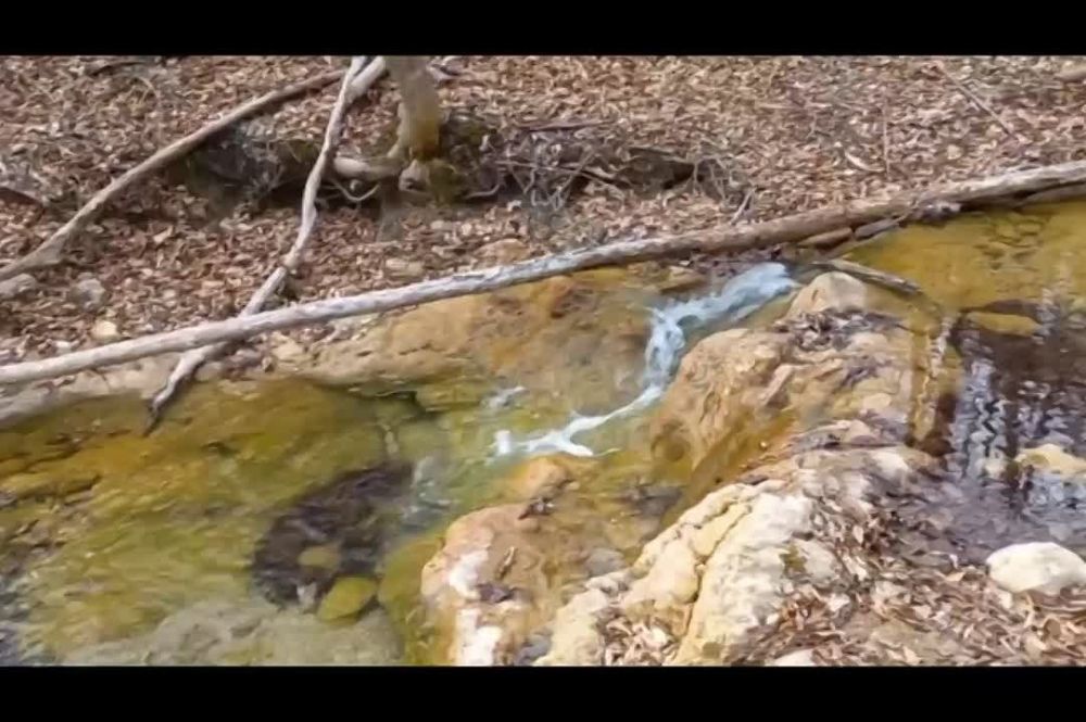 � 1 ������ 2025 ���� � ����������� ���������� ��������� ������������� �����