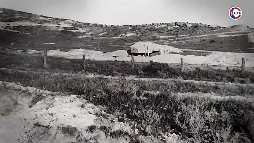 �������� ������ ������ ������ ������ � ������ ���������� ������ ���������� �������