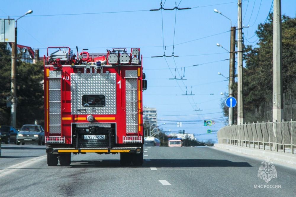 � ����������� ������ �������� � ����� ����