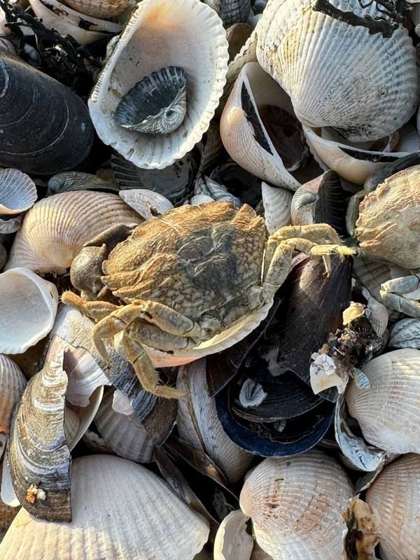 �� ����� ��������� ���� ��������� ����� ������ ������