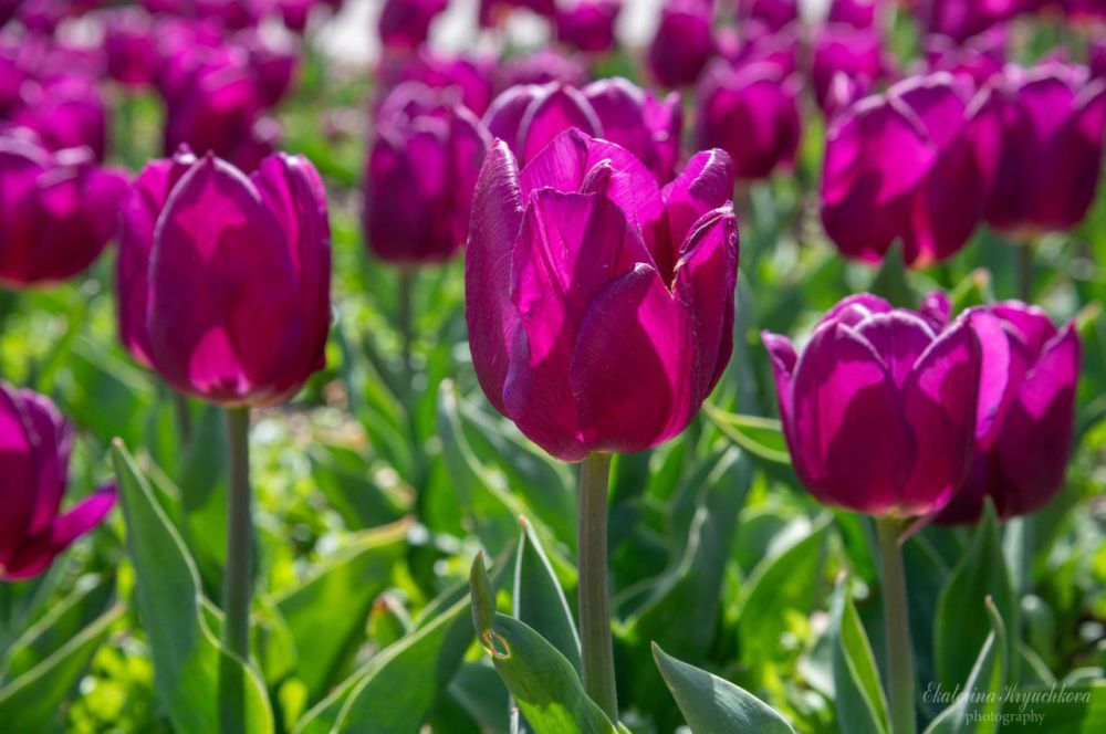 �� ������ ��������� � ��������� ������������ ���� ���������� 110 ����� ������ � 158 ������