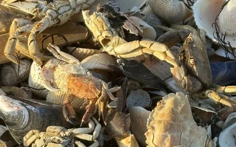 �� ����� ��������� ���� ��������� ����� ������ ������