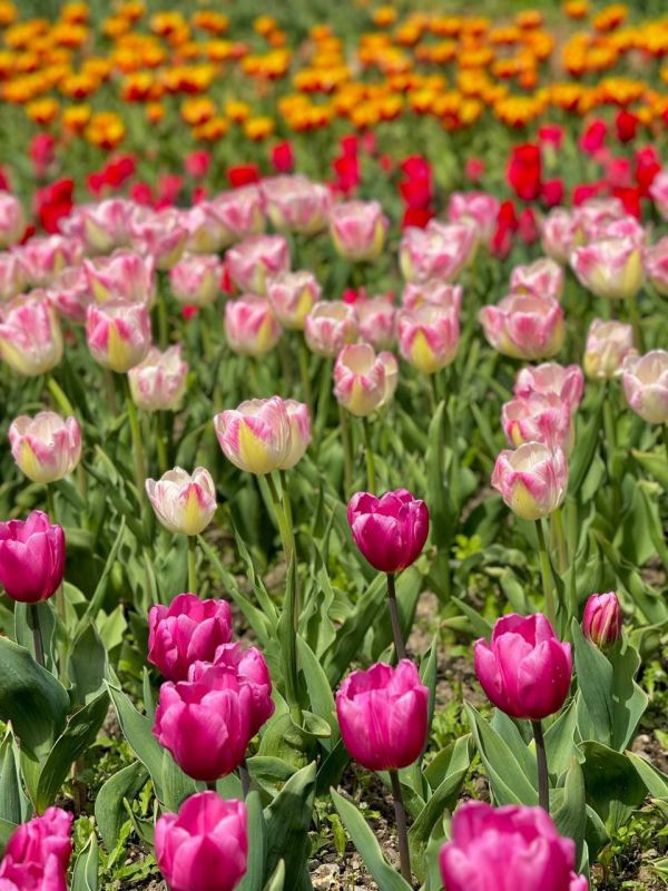 �� ������ ��������� � ��������� ������������ ���� ���������� 110 ����� ������ � 158 ������