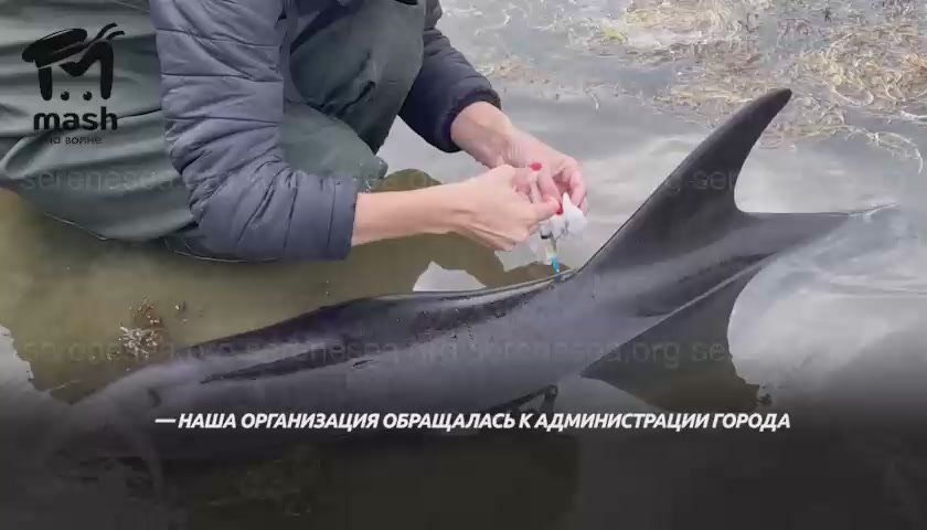 �� ����������� �� ������ �������� ����� ������������ ������������ ���������