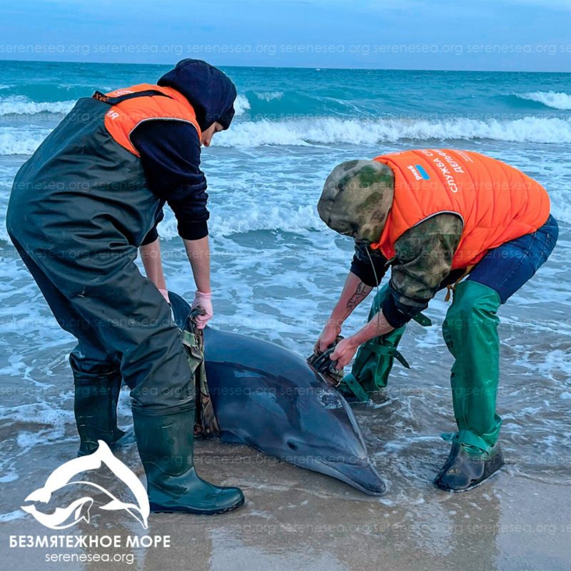 � ����������� ��������� ������� ������������ ����� ������������ ���������